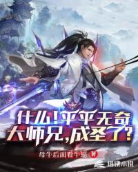 平平无奇大师兄竟成圣了